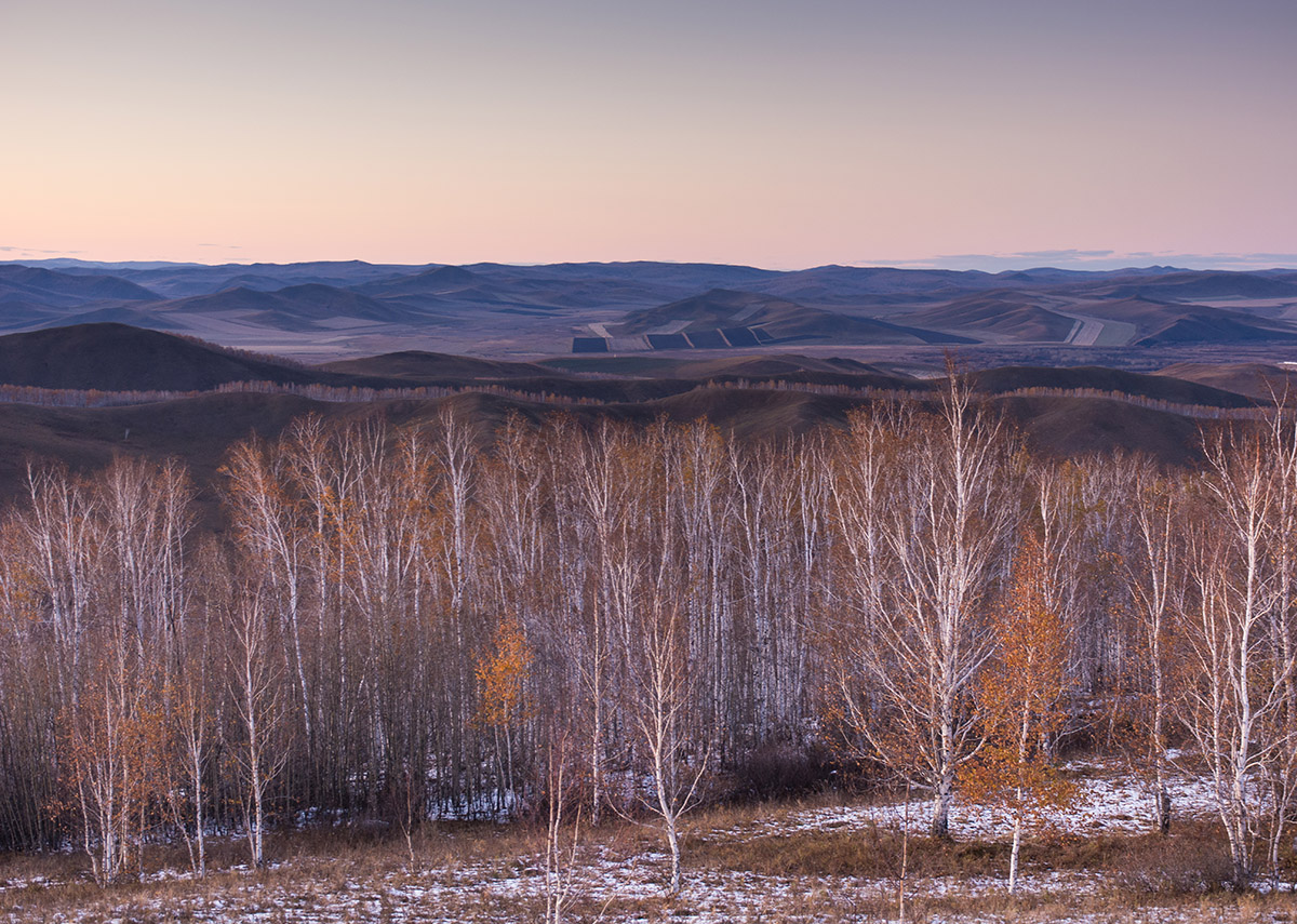 Great Khingan Autumn Photography 8-Day Tour