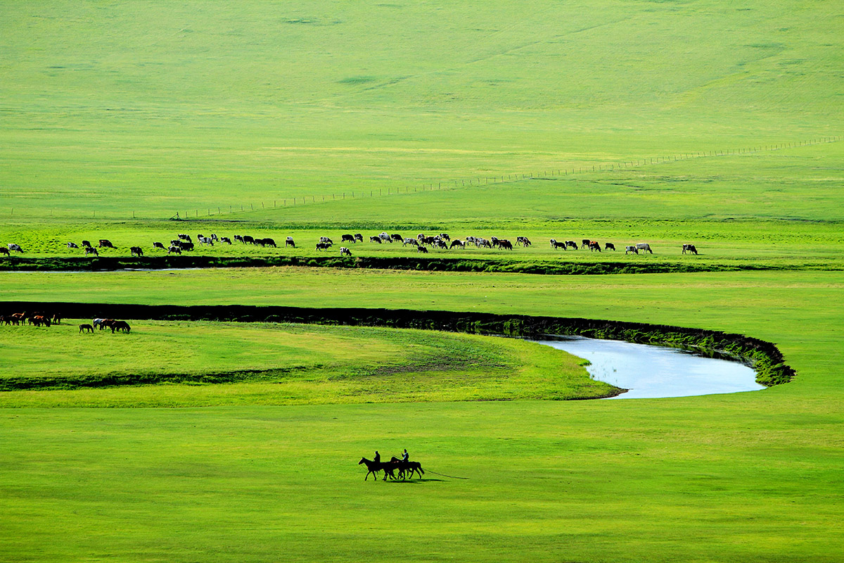 Northern Frontier Forest & Reindeer 6-Day Private Tour